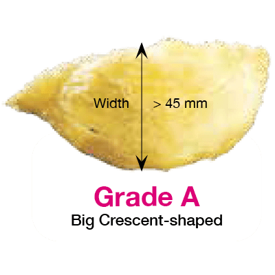 hockhua bird's nest grade a