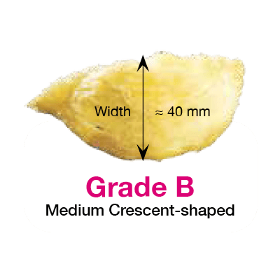 hockhua bird's nest grade b