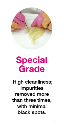 hockhua bird's nest special grade